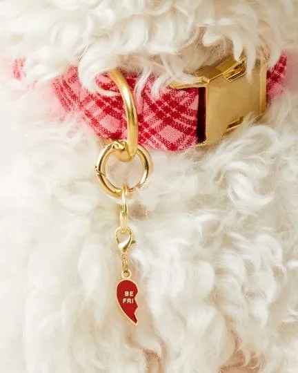 BFF Collar Charm Set
