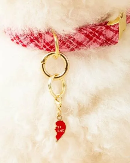 BFF Collar Charm Set