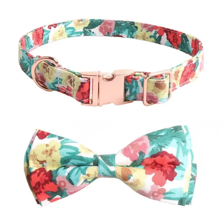 Chenpet Manufacturer High Quality Pet Collars Dog Collars