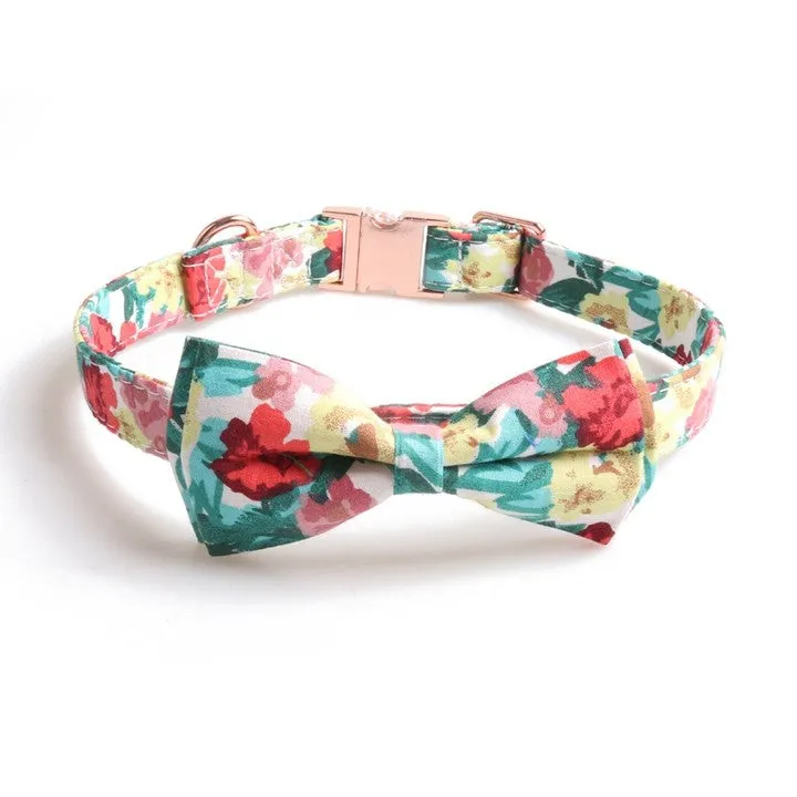 Chenpet Manufacturer High Quality Pet Collars Dog Collars