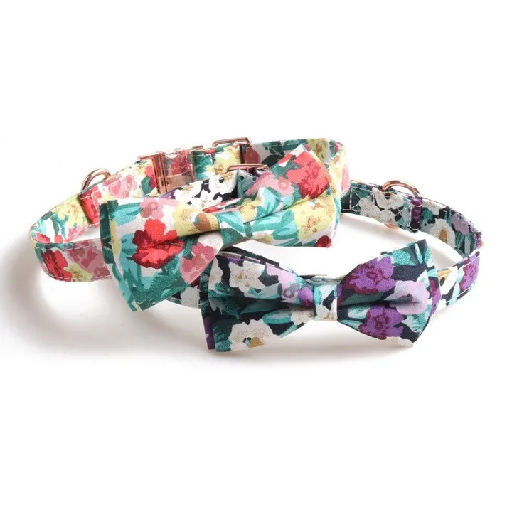 Chenpet Manufacturer High Quality Pet Collars Dog Collars