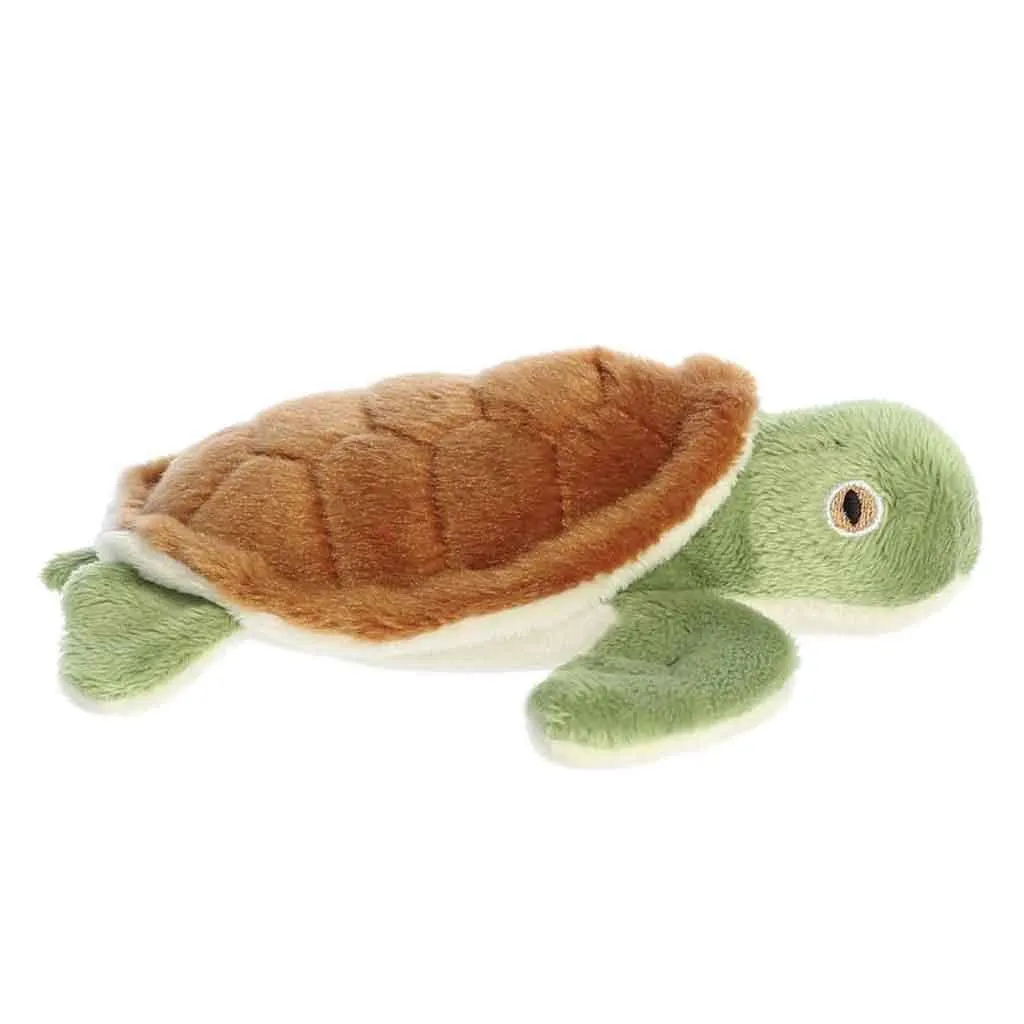 Eco Nation Mini Turtle