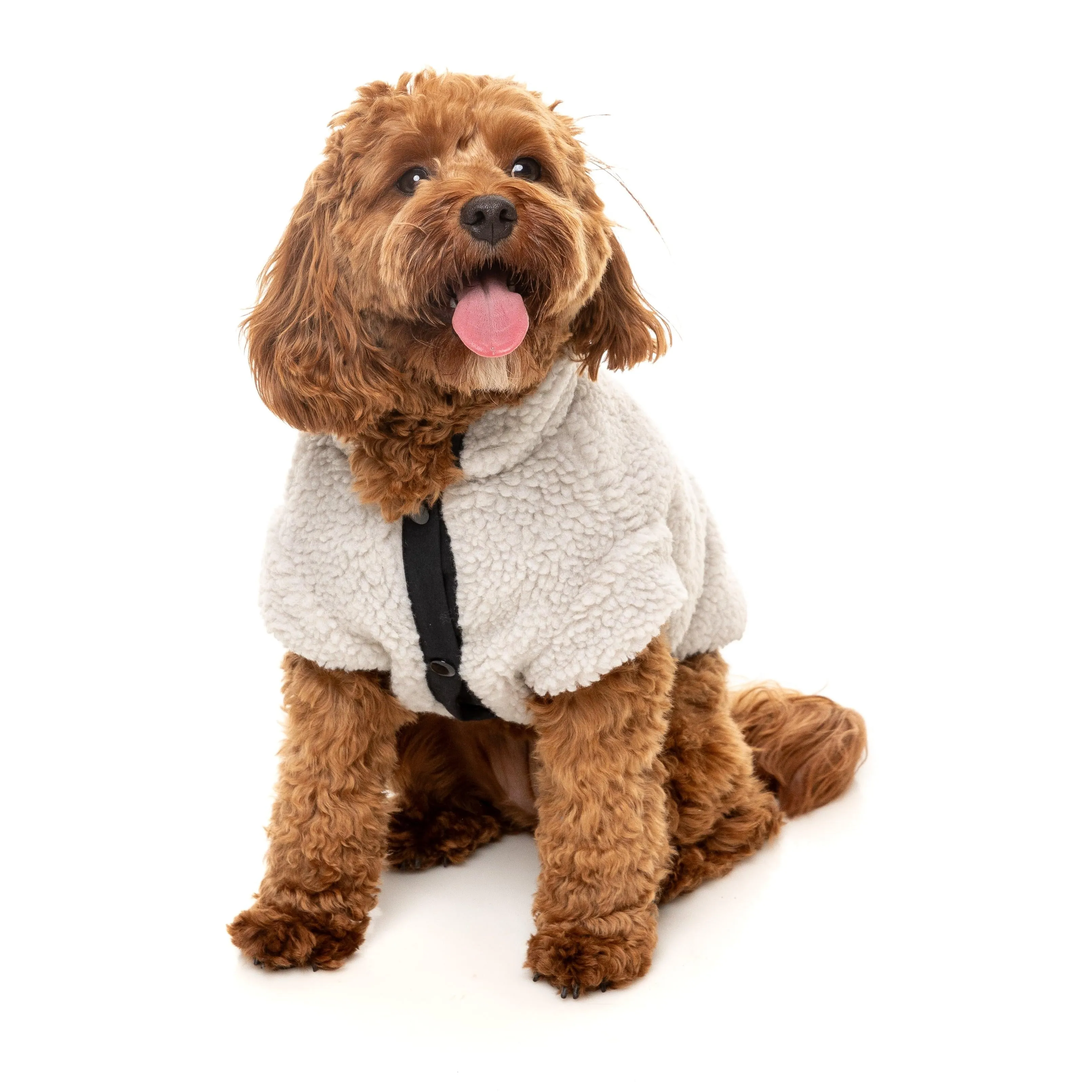FuzzYard Dog Apparel Jacket Basecamp Stone Size 7
