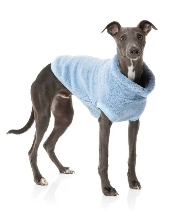 FUZZYARD TURTLE TEDDY SWEATER : WASHED BLUE