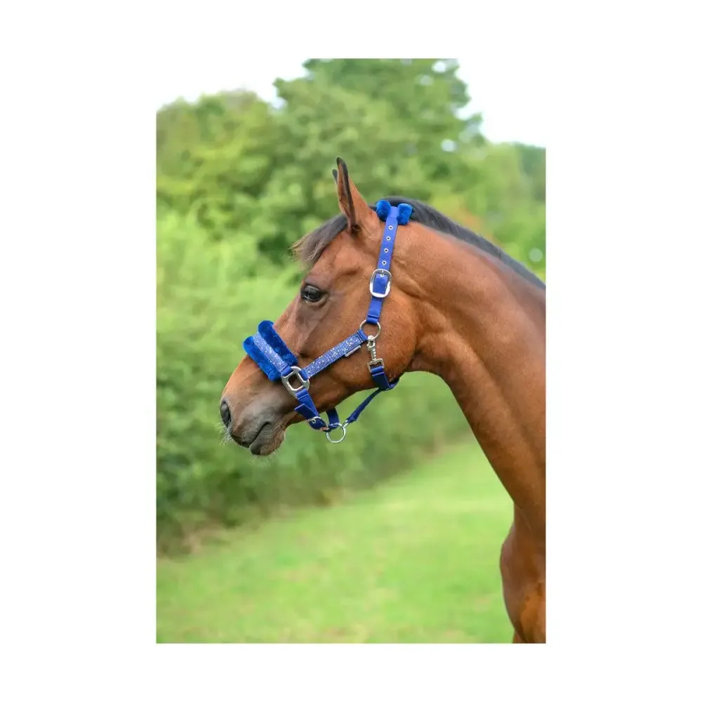 Hy Equestrian Dazzle Head Collar