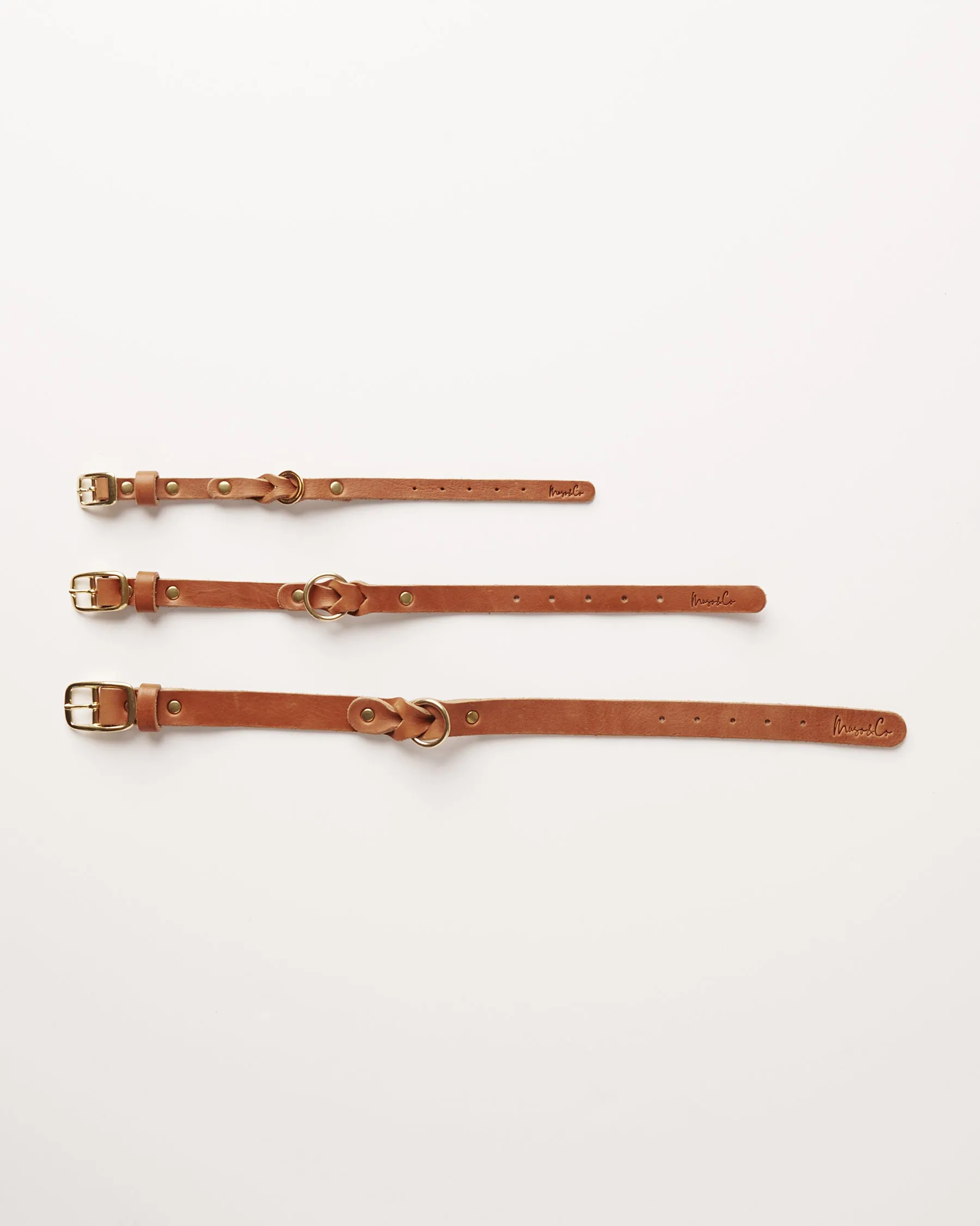 Leather Braided Dog Collar