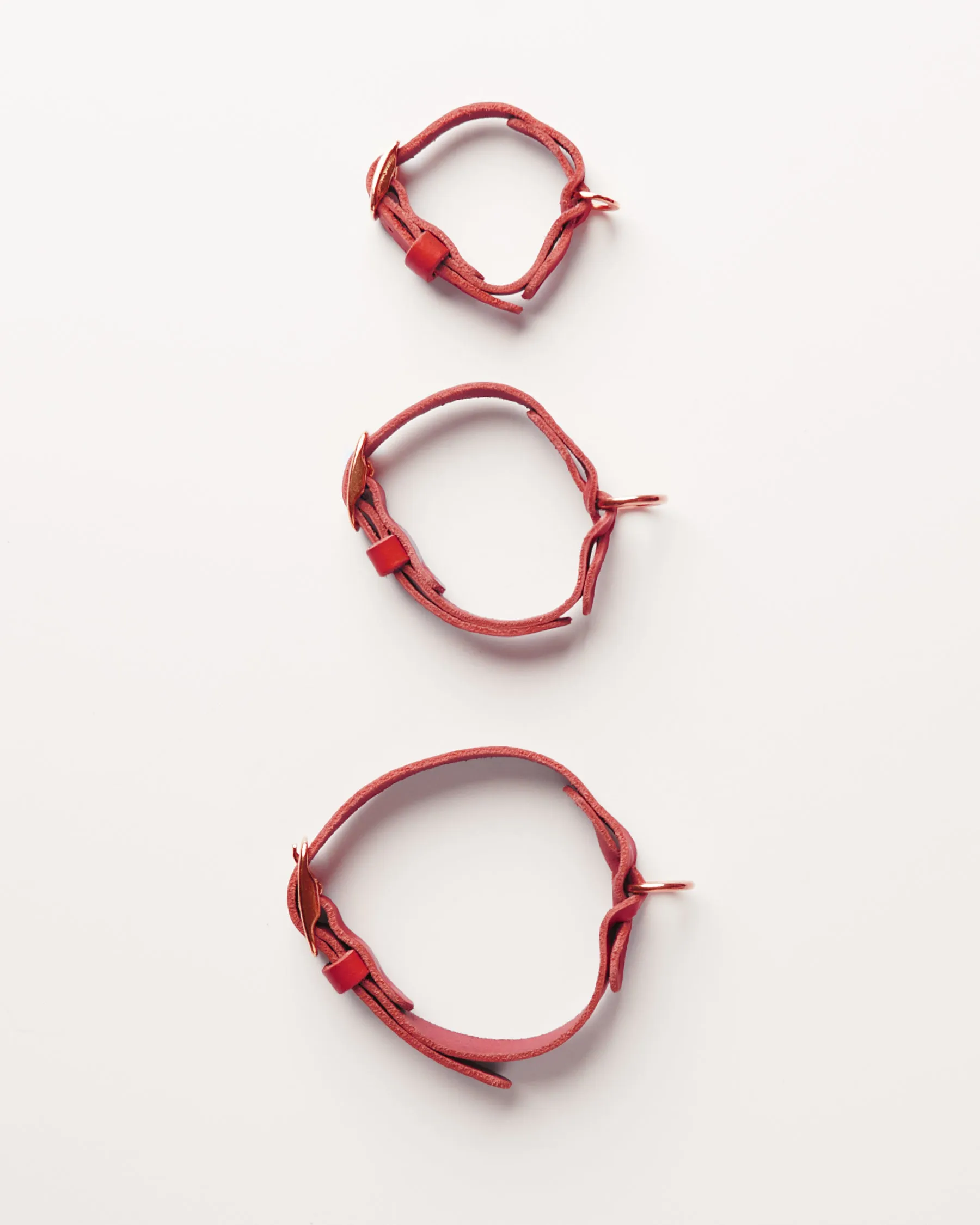 Leather Braided Dog Collar