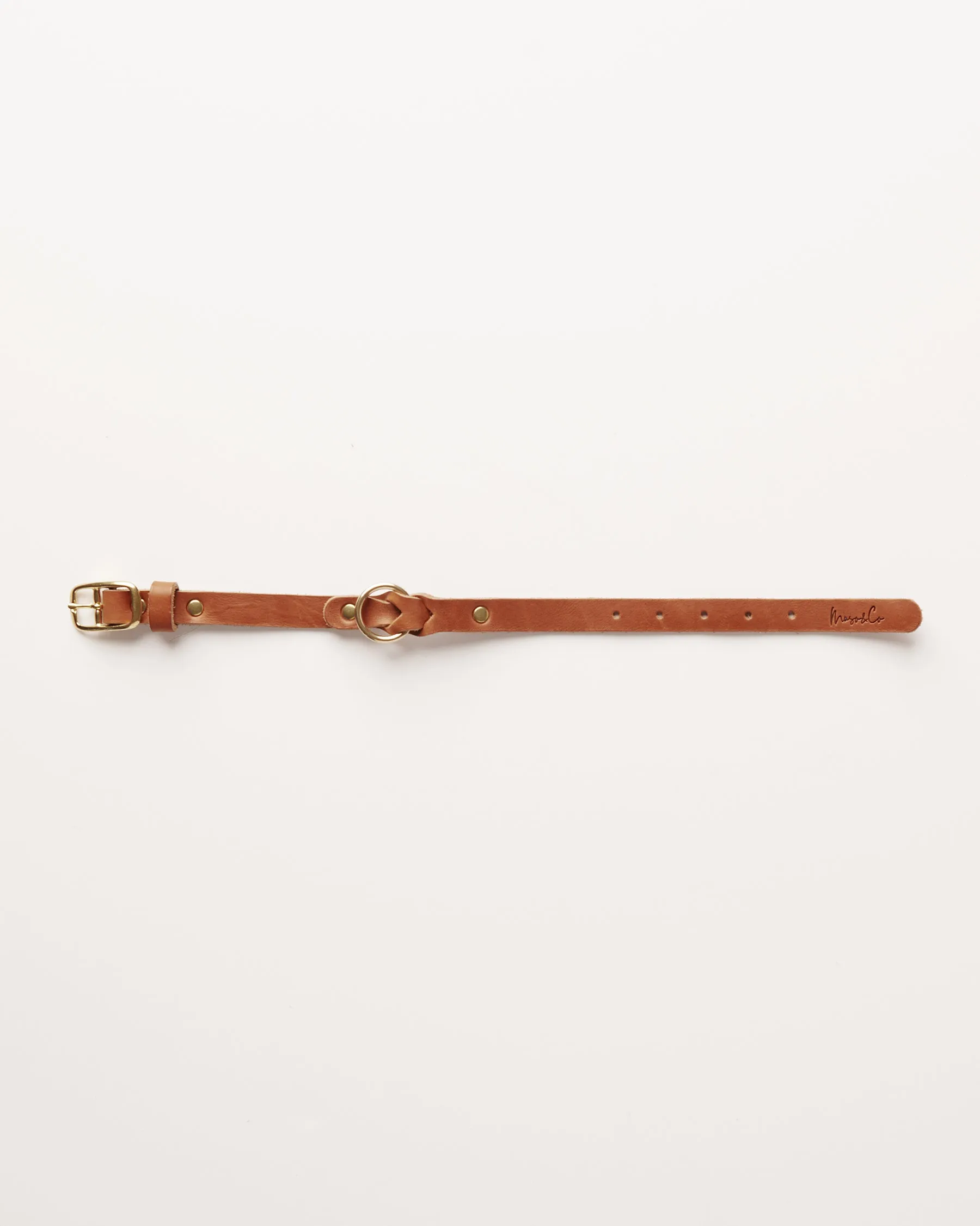 Leather Braided Dog Collar