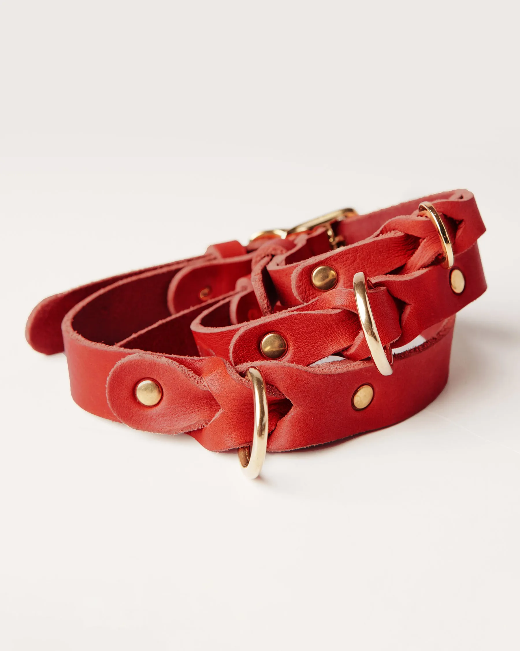Leather Braided Dog Collar
