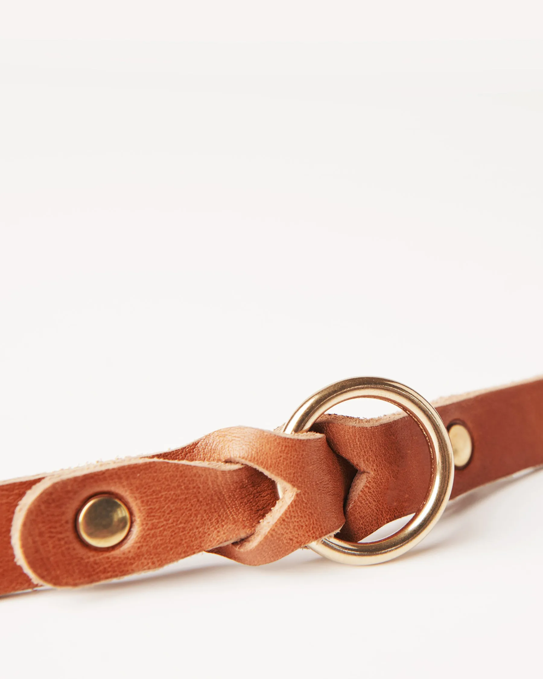 Leather Braided Dog Collar