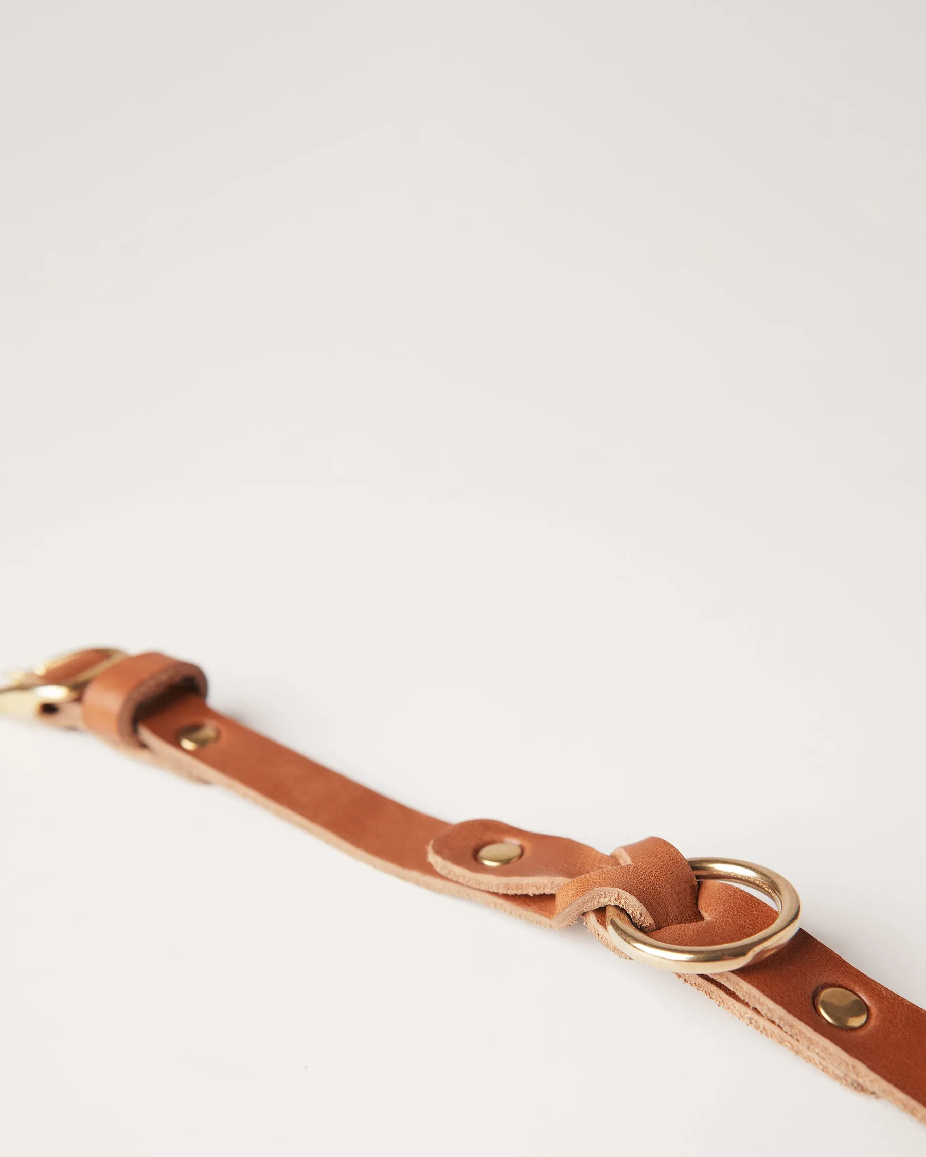 Leather Braided Dog Collar