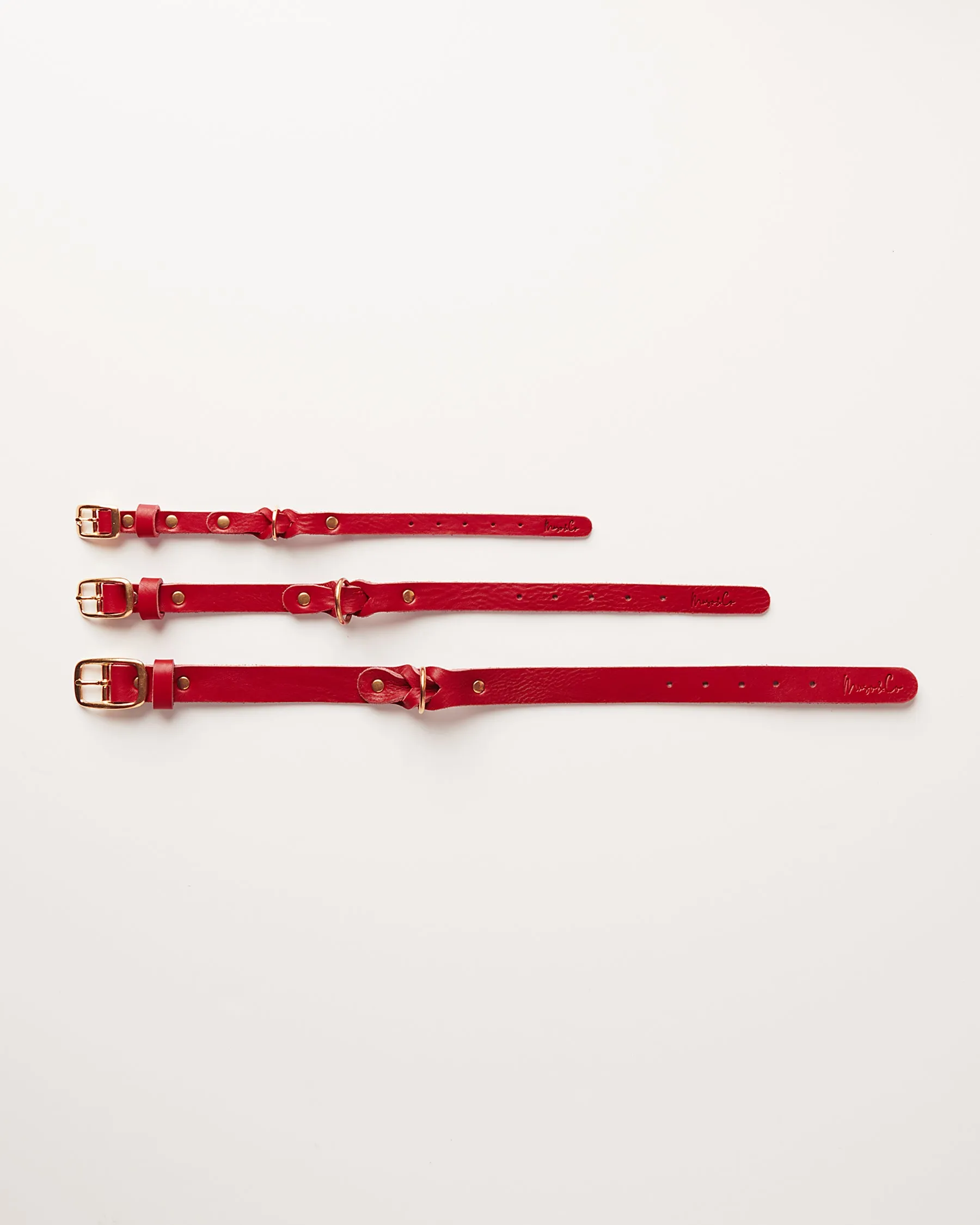 Leather Braided Dog Collar