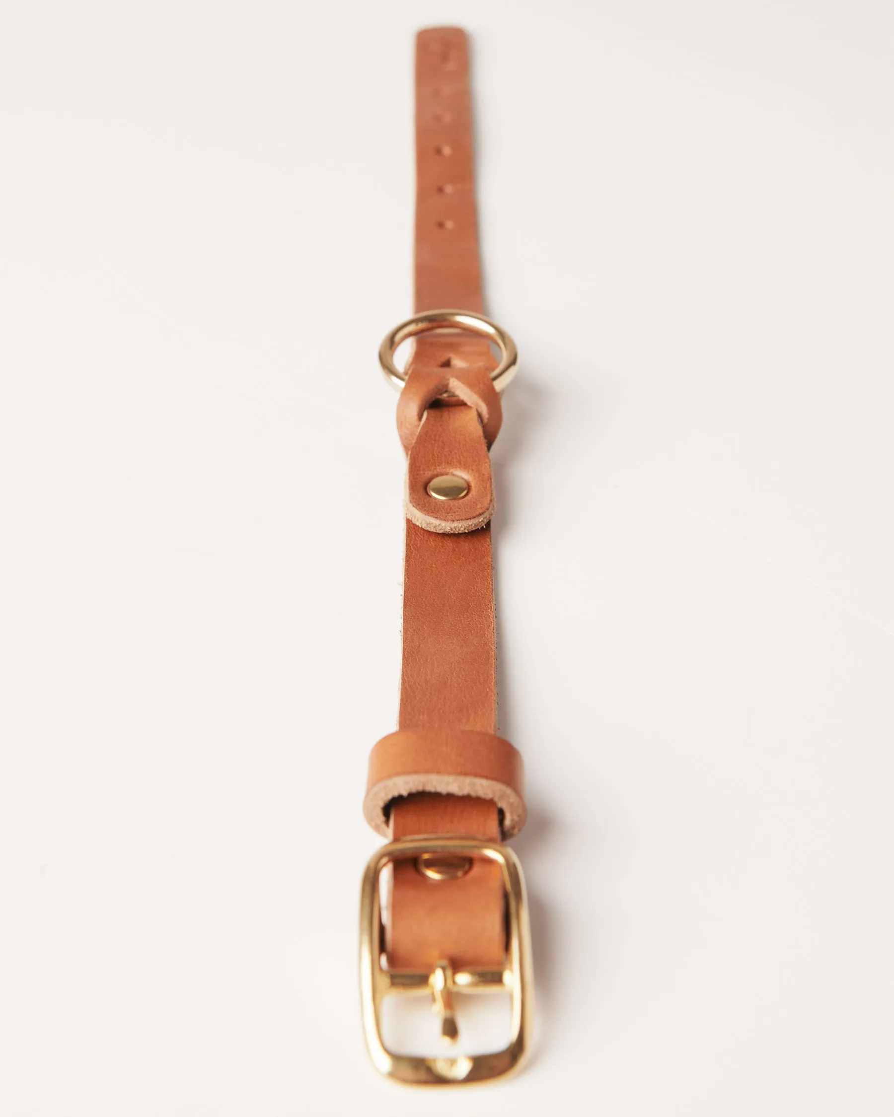 Leather Braided Dog Collar