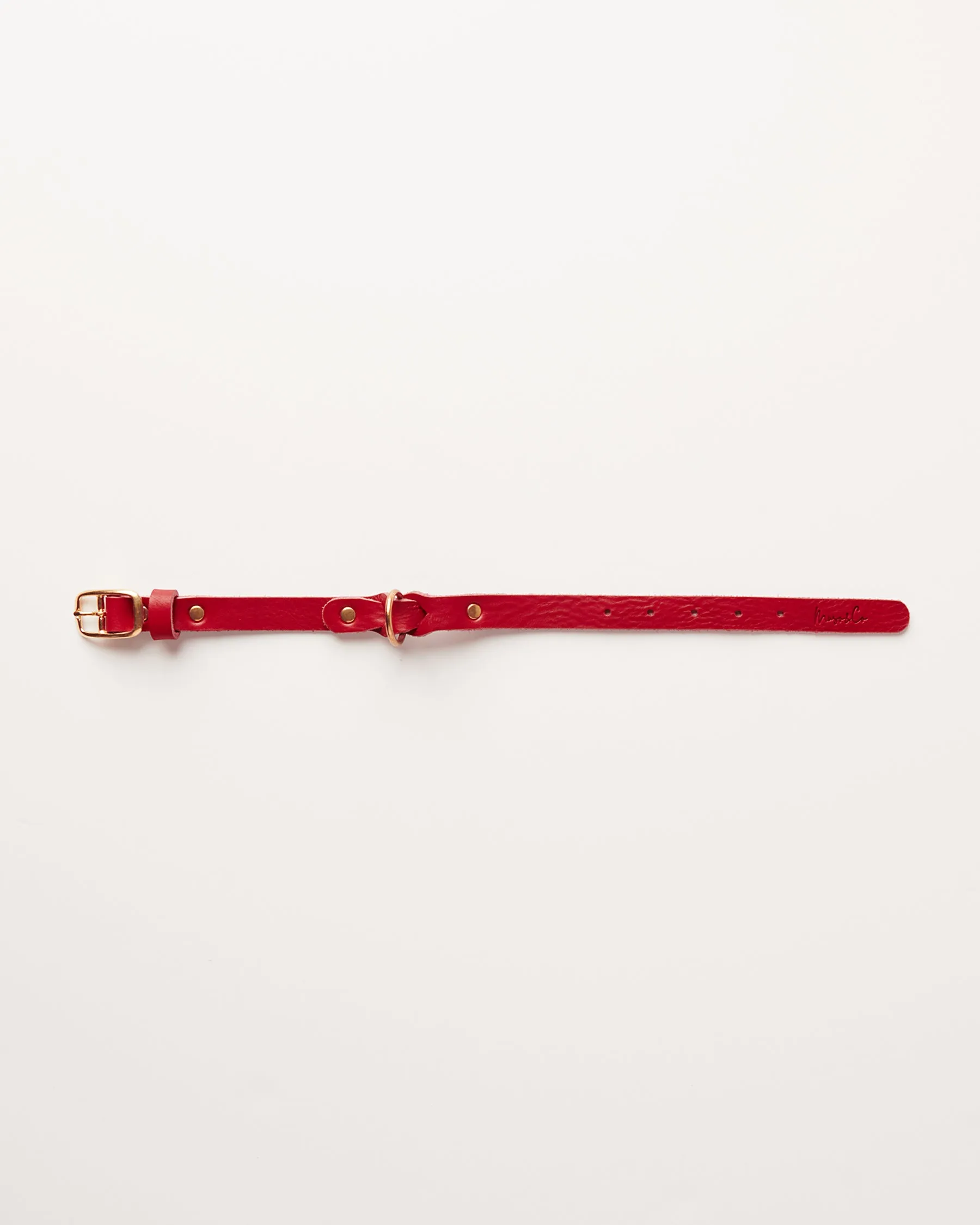 Leather Braided Dog Collar