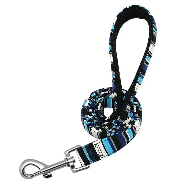 Pet Leash