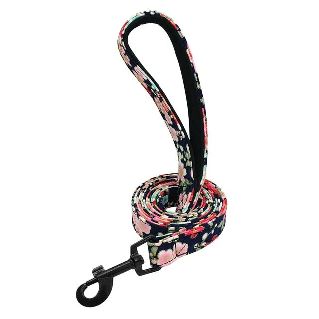 Pet Leash