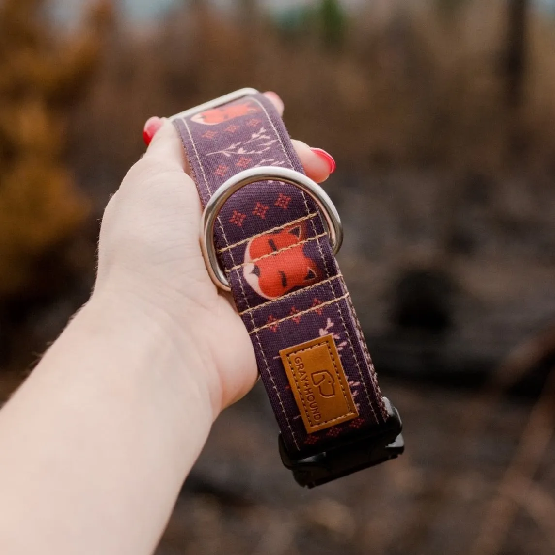 Woodland Fox Dog Collar